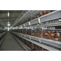 Poul Tech Nuevo tipo de galvanización de la capa de jaula de pollo sistema